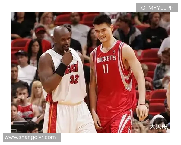 篮球明星名字叫声的魅力与影响力探讨与分析